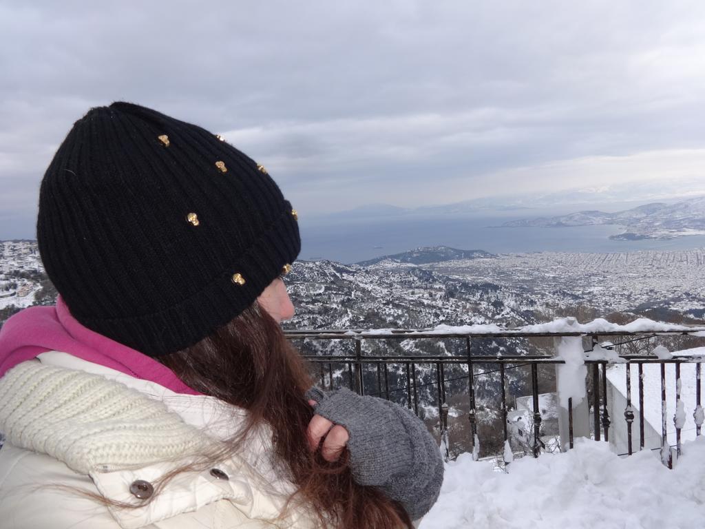 Archontiko Koilia Otel Makrinítsa Dış mekan fotoğraf
